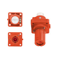 PowerSyntax - Panel Drain Chain Pilot 480 Amp L1 – Red - M12 Hole